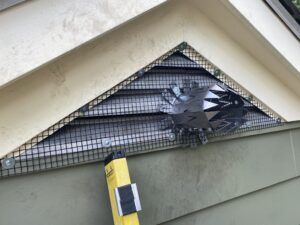 Chimney Cap Installation | Humane Wildlife Removal New Jersey - (973) 747-5455