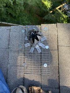 Chimney Cap Installation | Humane Wildlife Removal New Jersey - (973) 747-5455